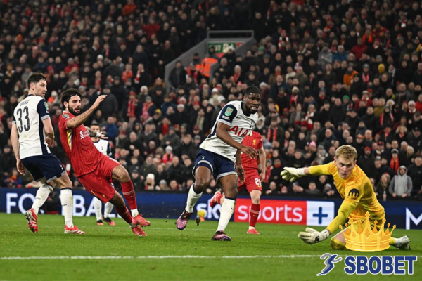 ทางเข้า sbo ล่าสุด